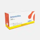 Amoxicilina 750mg 10 Comp. – vista 2